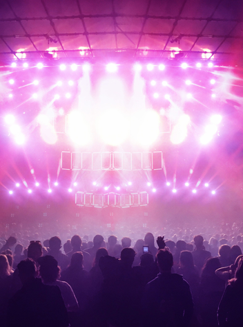 Audience at music concert